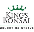 KING`s BONSAI подарок со статусом